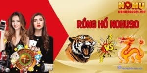 Long Tranh Hổ Đấu Cùng Rồng Hổ Nohu90 Đẳng Cấp