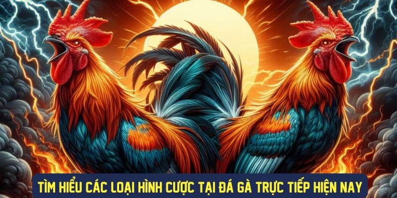Các loại hình cược đá gà trực tiếp hot