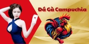 Khám Phá Đá Gà Campuchia - Nét Văn Hóa Cổ Truyền