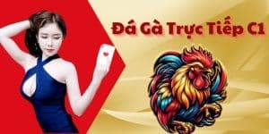 Trải Nghiệm Đá Gà Chọi C1 - Những Trận Đấu Nảy Lửa Đỉnh Cao