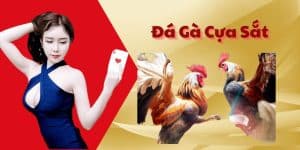 Tổng Quan Chi Tiết về Đá Gà Cựa Sắt - Cược Gà Hot Nhất