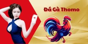 Đá Gà Thomo - Khám Phá Mô Hình Đá Gà Đặc Sắc Hiện Nay