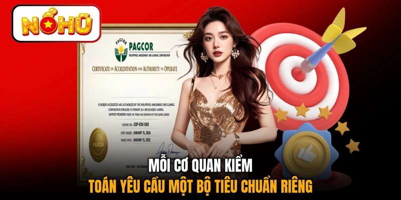 Mỗi cơ quan kiểm toán yêu cầu một bộ tiêu chuẩn riêng